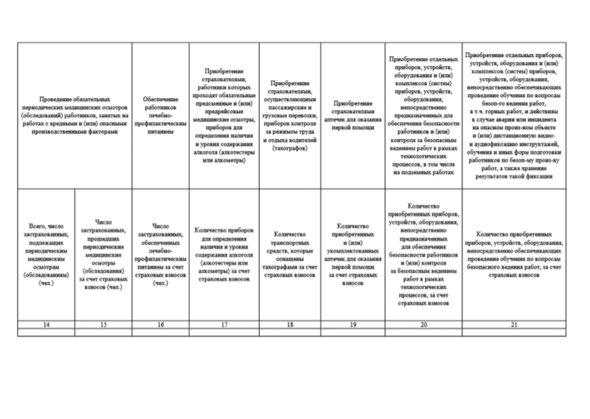 Отчет об использовании сумм страховых взносов на финансовое обеспечение предупредительных мер в 1с