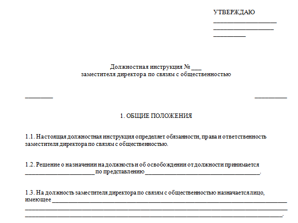 Должностная инструкция директора ооо в рб образец