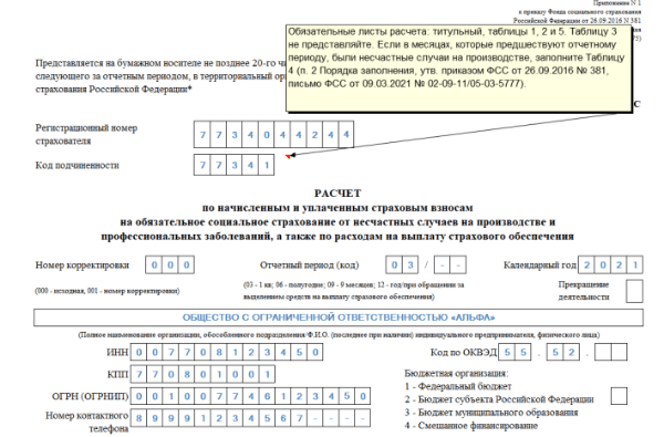Форма 4-ФСС за год - бланк отчетности и пример заполнения - sapsanmsk.ru