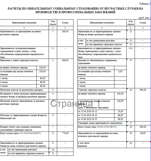 4 фсс образец заполнения 2022