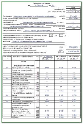 Баланс снт образец заполнения при усн